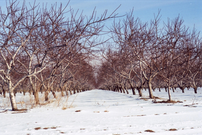 Vanishing Points [#10]  - Click for previous