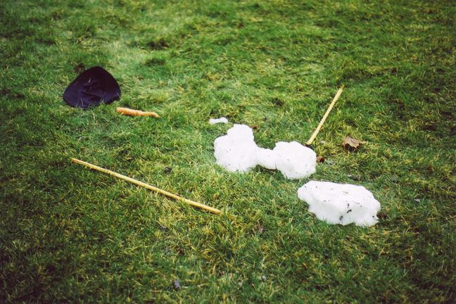 Death of a Snowman [#16]  - Click for previous