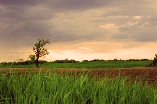 A Pleasant Prospect [#45]  - Click for previous