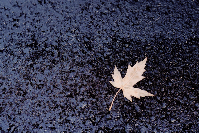 Discarded Icon [#51]  - Click for previous