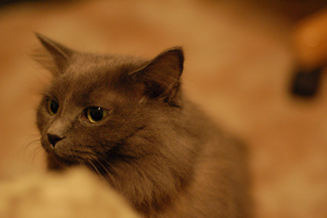 Into The Digital World [#59]  - Click for previous