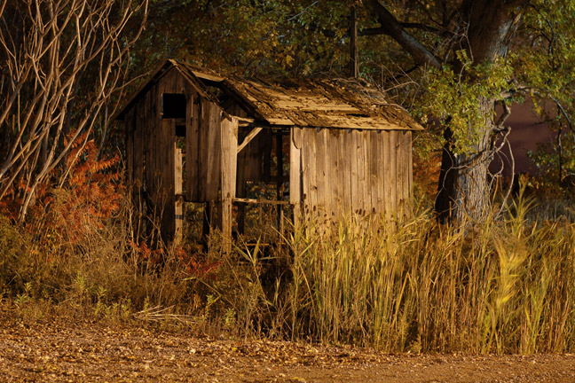 Still Standing [#60]  - Click for previous