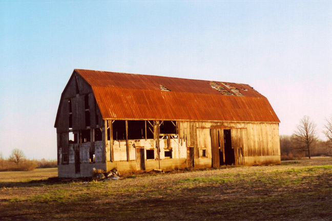 Golden Gambrel [#69]  - Click for previous