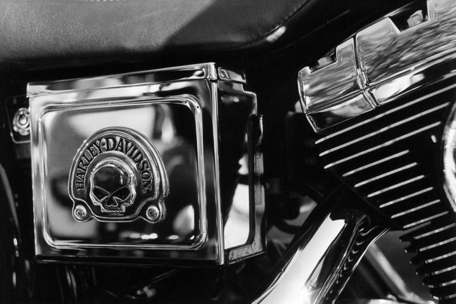 Chrome Skull [#89]  - Click for previous