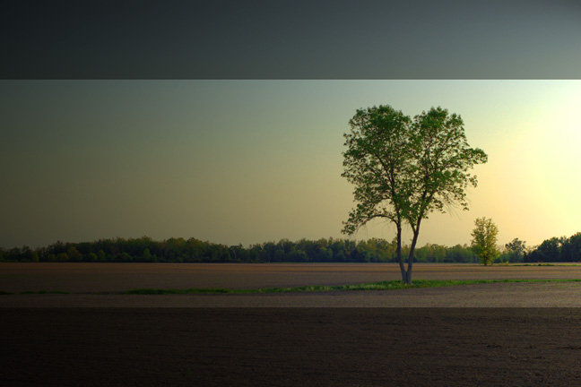 Togetherness [#102]  - Click for previous