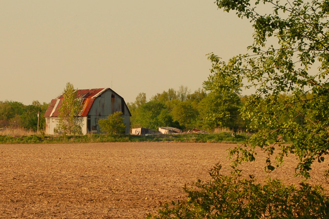 The Broad Side [#104]  - Click for previous