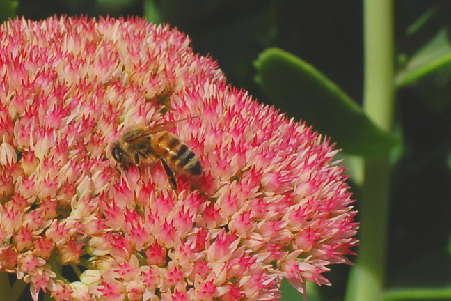 Hard At Work [#109]  - Click for previous